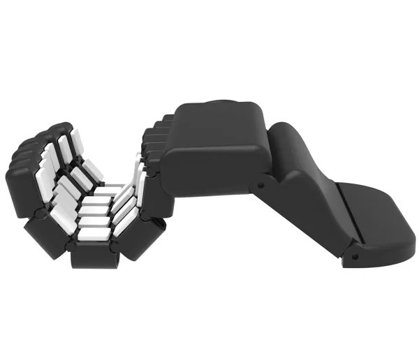 Rendering of Chirotype.