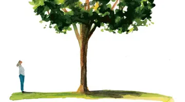 A person stares up at a tree.