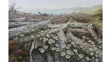 A watercolor painting of a scene with mountains, water, logs and shore debris and flowers.