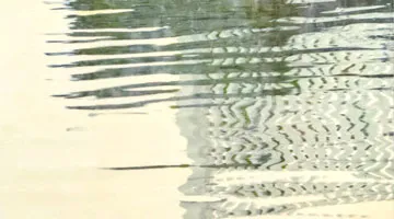 An abstract painting that resembles a reflection in water.