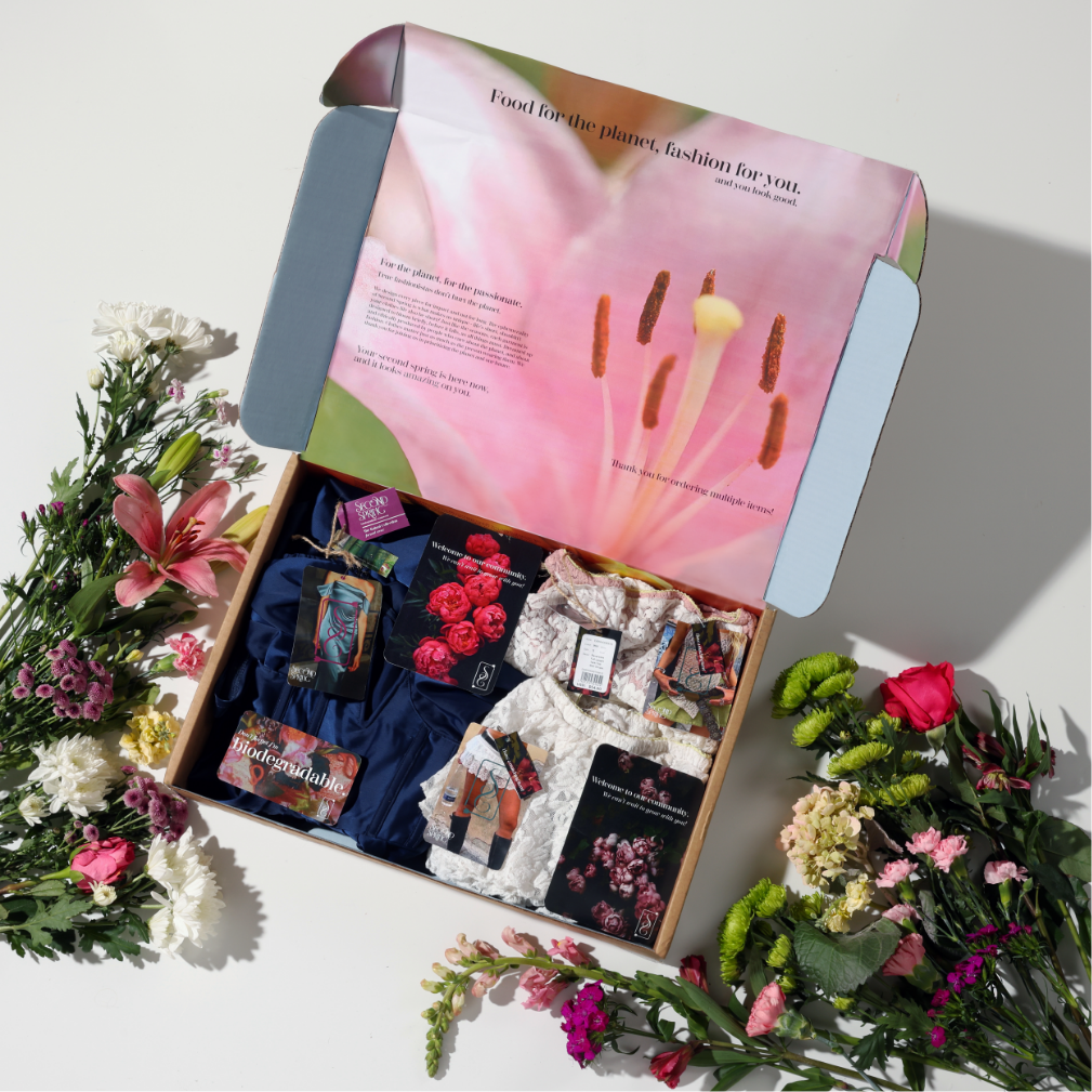 Piper Holland Branding