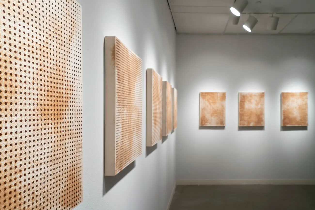 A series of similar abstract paintings on a gallery wall.