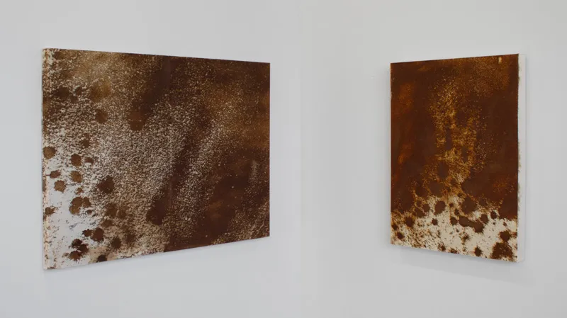 Two prints on a wall.
