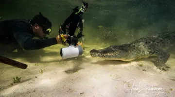 Individuals taking photos underwater.