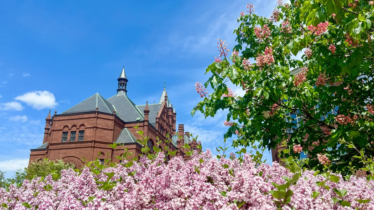 Crouse College behind pink flowers.