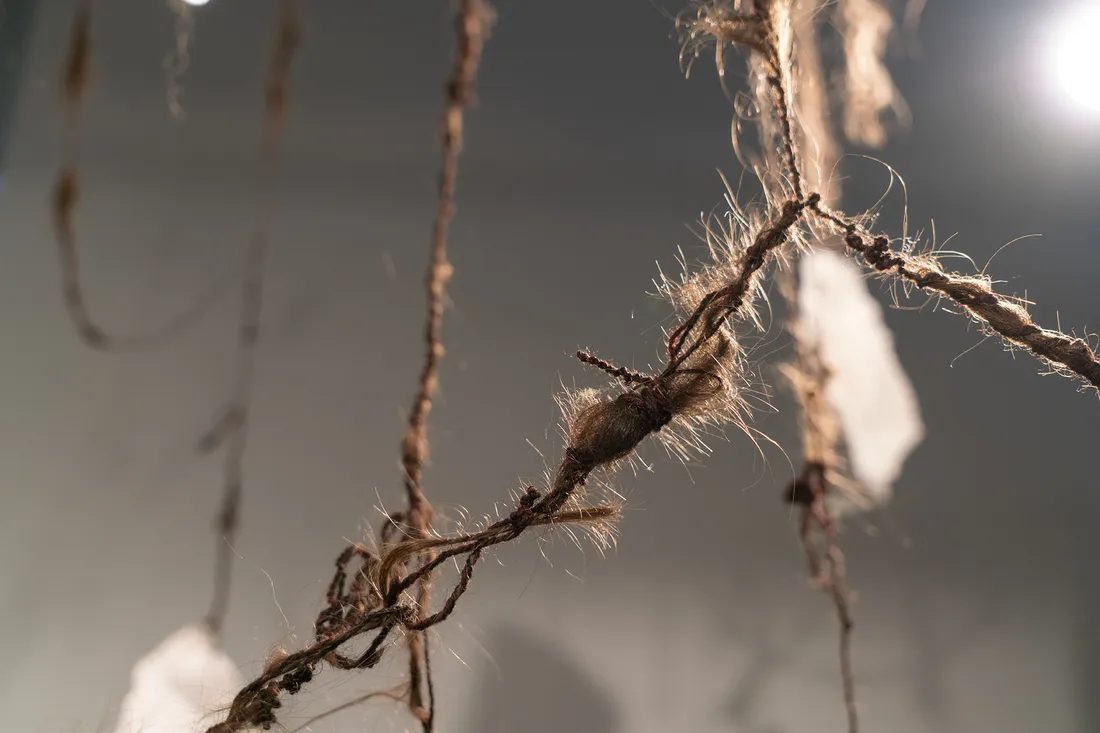 A painting of a hand on a gallery wall.