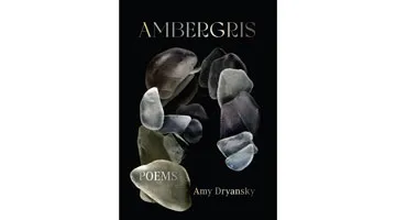 The book cover of Ambergris with stone-like objects on a dark background.