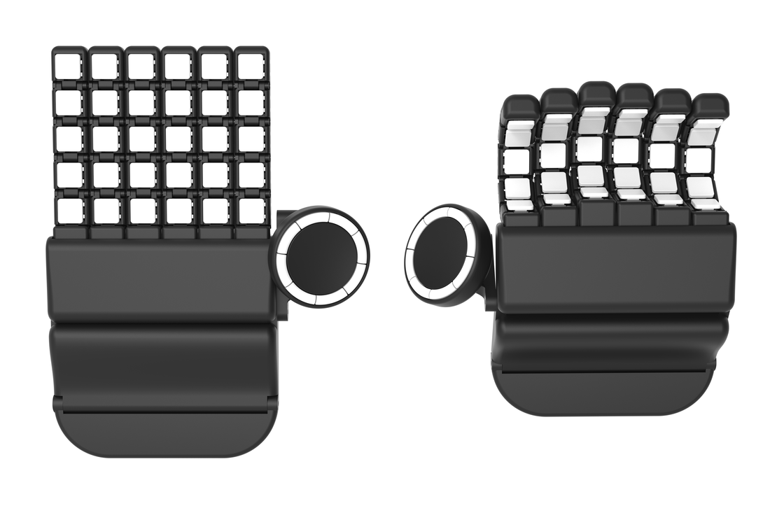 Shick Chirotype
