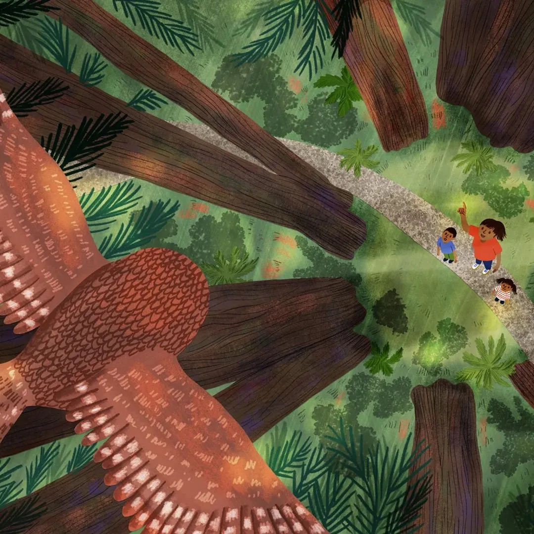 Illustration of an owl flying above three people in a forest.